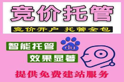 顶级SEM服务公司案例解析